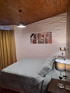戈多伊克鲁斯PORTAL ANDINO的一间卧室配有一张床和一张带台灯的桌子