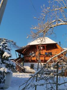 AbhornLandgasthof Plohnbachtal UG的雪地小木屋