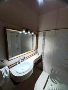 戈多伊克鲁斯PORTAL ANDINO的一间带水槽、镜子和淋浴的浴室