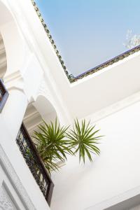 马拉喀什Riad Dar Beldia and Spa的植物建筑天花板的景色