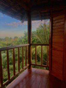 卡拉伊瓦Mirante Caraiva的客房设有一个享有森林美景的阳台。