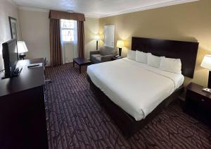 达拉斯Motel 6 Dallas TX Downtown的酒店客房带一张大床和一把椅子