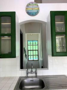 克朗角Reefside Villa的厨房水槽配有镜子和绿色橱柜