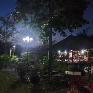 芹苴Brown House Resort的餐厅灯光的夜景