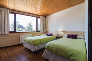 塞拉内华达雪人旅舍的客房设有两张床和窗户。