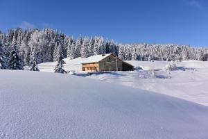 Les MoussièresGîtes Tré Le Grenier的雪中的一个雪覆盖的小屋 覆盖的森林