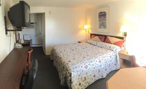 布卢明顿布卢明顿经济汽车旅馆的配有一张床和一台平面电视的酒店客房