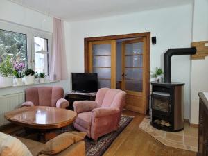 马格德堡Gästewohnung " Am Harsdorf "的客厅配有两把椅子和燃木炉