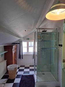 波佩林赫't Haringehuys的带淋浴的浴室和 ⁇ 格地板