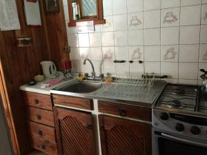 比亚里卡Cabaña Ruca Quimey的厨房配有水槽和炉灶