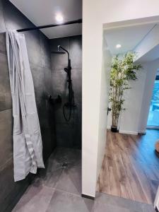 考纳斯Botanical Garden loft的带淋浴和浴帘的浴室