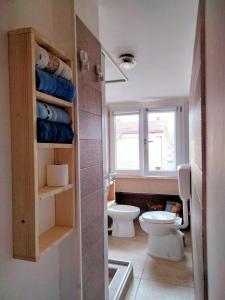 桑格罗堡Casa Serena的一间带卫生间和窗户的浴室