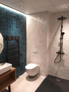旺德尔港Intense Boutik-Hôtel的一间带卫生间和水槽的浴室