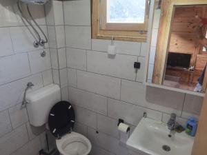 Kuće sa bazenom Višegrad Drina的一间带卫生间、水槽和窗户的浴室