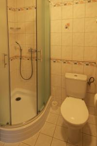 扬斯凯拉兹涅300号公寓酒店的一间带卫生间和淋浴的浴室