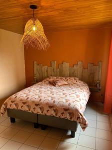 雅莱Ô Baguenaudes的一间卧室配有一张床和一个吊灯