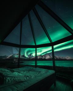 RotsundLyngen North的客房享有北极光美景的房间的图片