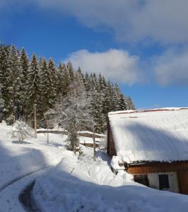 热拉梅La ferme du Badon的铺在雪中的道路旁的谷仓