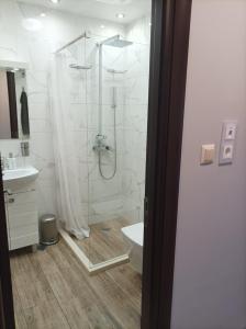 普罗夫迪夫One Bedroom Apartment 37- Trakia 54 А的带淋浴、卫生间和盥洗盆的浴室