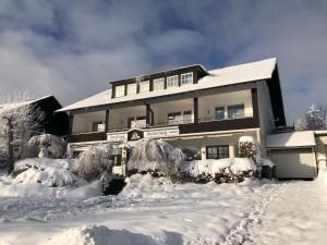 温特贝格Berghaus Winterberg的积雪覆盖的房子