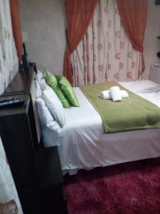 威廉王城Bisho Park guesthouse的一间卧室配有一张带绿色枕头的床。