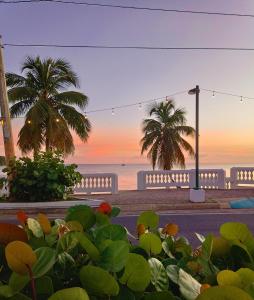 别克斯Lazy Guesthouse的日落时分享有海滩和棕榈树的景致