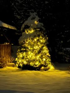 赫日布斯卡劳拉膳食公寓酒店的雪中被灯光覆盖的圣诞树