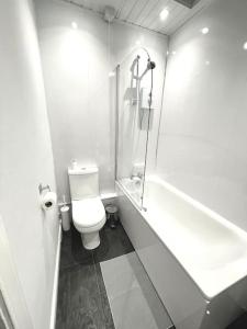 爱丁堡Loft apartment in Joppa的白色的浴室设有卫生间和淋浴。