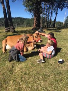Bridge LakeMontana Hill Guest Ranch的一群坐在牛前的孩子