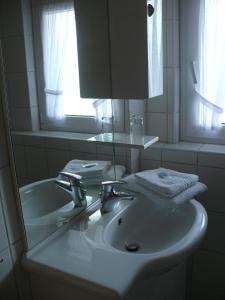 Hemfurth-Edersee多恩罗森索瓦尔德霍特尔酒店的浴室设有白色水槽和镜子