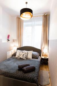 华沙ClickTheFlat Royal Route Warecka Apart Rooms的卧室配有带枕头的床铺和大窗户