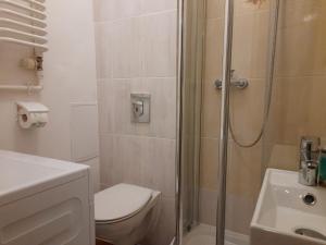 华沙Sady Flat的带淋浴、卫生间和盥洗盆的浴室