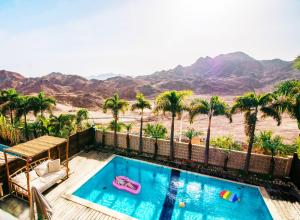 埃拉特Villa Mountains Eilat וילה הרים אילת - בריכה מחוממת的棕榈树泳池,享有沙漠美景