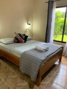 圣克鲁斯Miniapartamento el Guanacaste, cerca Tamarindo的一间卧室设有一张床和一个窗口