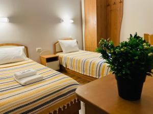 多斯帕特Хотел Лагуна的一间酒店客房,配有两张床和一张桌子上的植物