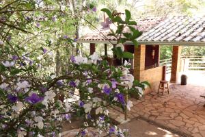 马卡科斯Pousada Evolucao的紫色和白色花丛在房子前的灌木丛