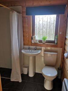 Bridge of TiltRiverside Lodge in Killiecrankie的一间带卫生间、水槽和窗户的浴室