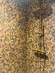 古斯塔维亚Le Rocher的瓷砖浴室设有软管淋浴