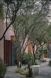 圣米格尔-德阿连德Quinta Amores alojamiento的一座种有树木的庭院和一座粉红色的建筑