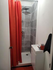 皮特尔角城Le 9ème étage du bonheur的浴室内配有橙色淋浴帘和淋浴