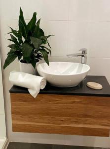 阿波罗湾Great Ocean Road Wellness and Nature Stay的一个带水槽和台面植物的浴室