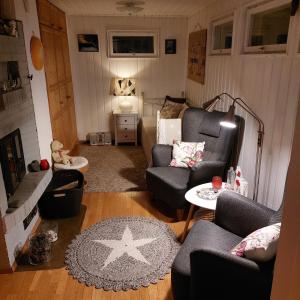 罗瓦涅米Blue River的客厅配有两张沙发和星空地毯