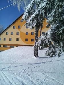 SvratkaHOTEL SVRATKA的一座黄色的建筑,前面有一棵雪覆盖的树