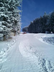 SvratkaHOTEL SVRATKA的一个人沿着雪覆盖的道路滑雪