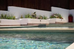林都斯林甸宝石别墅酒店的一座拥有一些植物和水的游泳池