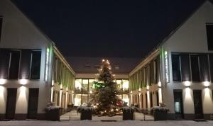 盖森费尔德KH餐厅酒店的夜间在建筑物前的圣诞树