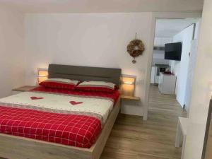 平佐洛Pinzolo, grazioso appartamento, wellness a 100 metri的一间卧室配有一张带红色毯子的床
