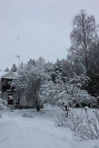 达拉胡斯比Rappens Stuga,Självhushåll的一座有房子和树木的雪地覆盖的院子