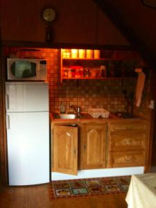 奥特朗Chalet de 2 chambres avec jardin amenage et wifi a Autrans Meaudre en Vercors的厨房配有白色冰箱和水槽