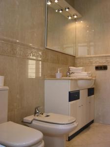 萨拉曼卡格拉纳达旅馆的一间带卫生间、水槽和镜子的浴室